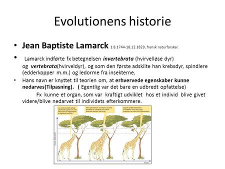 Evolutionens historie