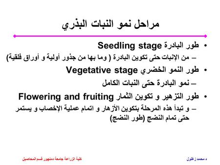 مراحل نمو النبات البذري