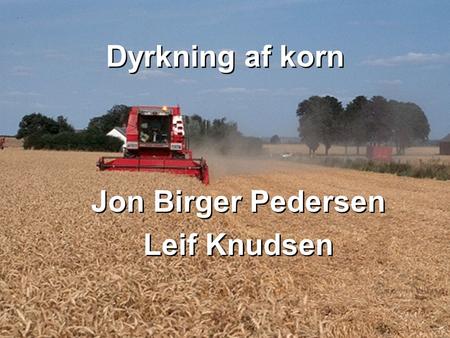 Dyrkning af korn Jon Birger Pedersen Leif Knudsen Jon Birger Pedersen Leif Knudsen.