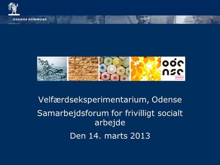 Velfærdseksperimentarium, Odense Samarbejdsforum for frivilligt socialt arbejde Den 14. marts 2013.