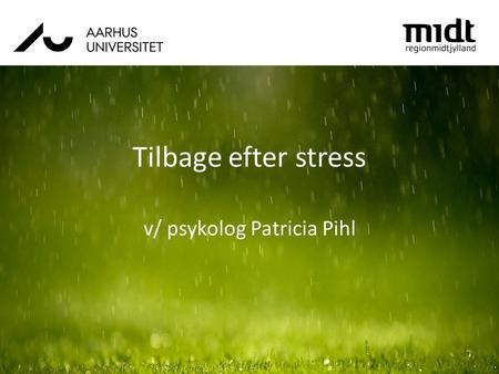 Tilbage efter stress v/ psykolog Patricia Pihl. Workshop program Præsentation af Den Ideelle Plan Brugsvejledning til Den Ideelle Plan, inkl. typiske.