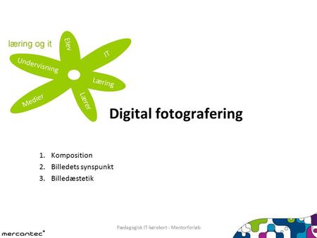1 Pædagogisk IT-kørekort - Mentorforløb Digital fotografering 1.Komposition 2.Billedets synspunkt 3.Billedæstetik.