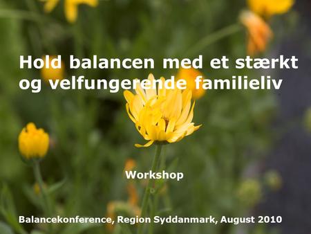 HVERDAGSGLÆDE Hold balancen med et stærkt og velfungerende familieliv Balancekonference, Region Syddanmark, August 2010 Workshop.
