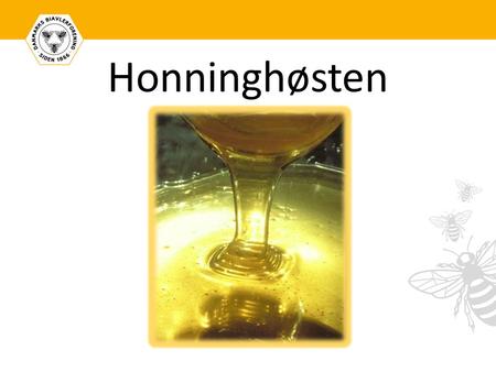 Honninghøsten. Hvornår tager man honning fra? Når tavlen er 2/3 forseglet … Og/eller ved ’sjaske’-test … Og/eller ’tændstik’-testen…