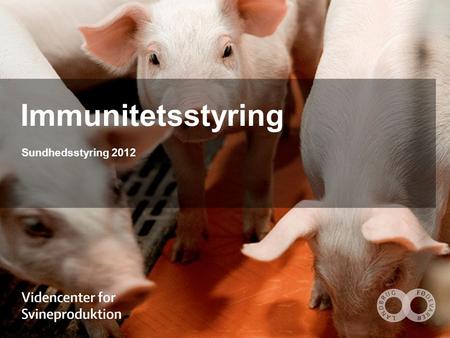 Immunitetsstyring Sundhedsstyring 2012. Organer i immunsystemet Kilde: Landbrugsforlaget; Sundhed og Sygdom hos svin.