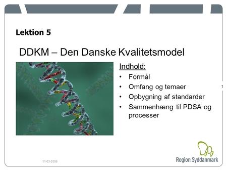 1 11-03-2009 DDKM – Den Danske Kvalitetsmodel Indhold: Formål Omfang og temaer Opbygning af standarder Sammenhæng til PDSA og processer Lektion 5.