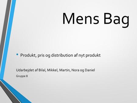 Mens Bag Produkt, pris og distribution af nyt produkt