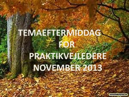 TEMAEFTERMIDDAG FOR PRAKTIKVEJLEDERE NOVEMBER 2013.