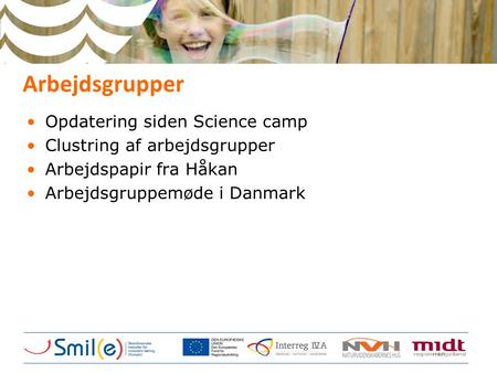Arbejdsgrupper •Opdatering siden Science camp •Clustring af arbejdsgrupper •Arbejdspapir fra Håkan •Arbejdsgruppemøde i Danmark.