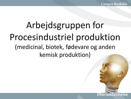 Arbejdsgruppen for Procesindustriel produktion (medicinal, biotek, fødevare og anden kemisk produktion)
