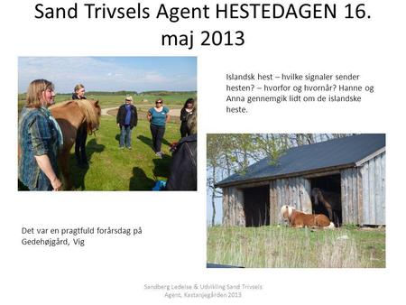 Sand Trivsels Agent HESTEDAGEN 16. maj 2013