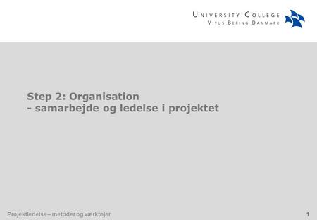 Step 2: Organisation - samarbejde og ledelse i projektet.