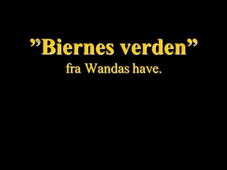 ”Biernes verden” fra Wandas have.
