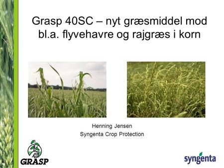 Grasp 40SC – nyt græsmiddel mod bl.a. flyvehavre og rajgræs i korn