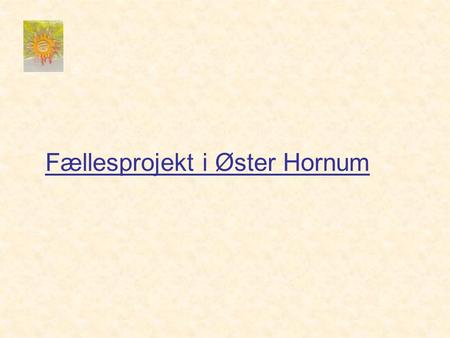 Fællesprojekt i Øster Hornum. Hvorfor Fællesprojekt i Øster Hornum? •Styrke sociale netværk •Tilbud om aktiviteter til alle aldersgrupper •Gøre byen attraktiv.