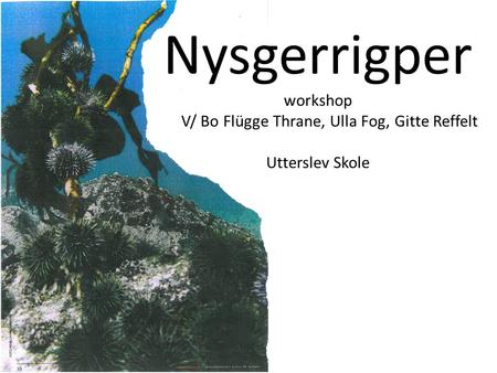 Nysgerrigper workshop V/ Bo Flügge Thrane, Ulla Fog, Gitte Reffelt Utterslev Skole.