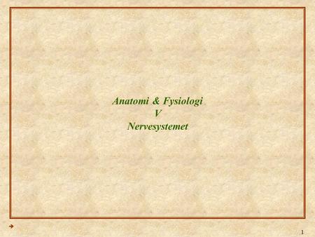 Anatomi & Fysiologi V Nervesystemet
