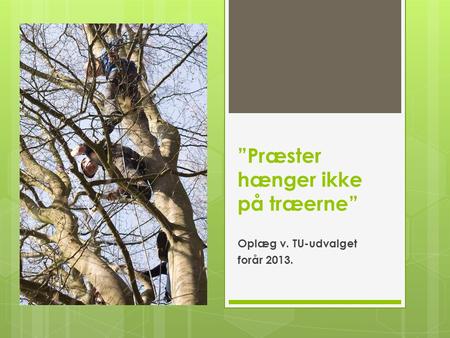 ”Præster hænger ikke på træerne” Oplæg v. TU-udvalget forår 2013.