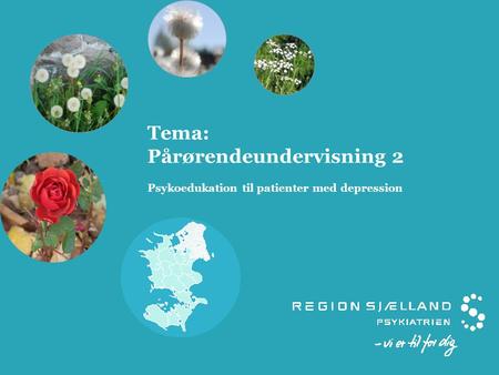 Tema: Pårørendeundervisning 2 Psykoedukation til patienter med depression Version oktober 2012.