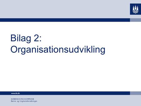 Bilag 2: Organisationsudvikling