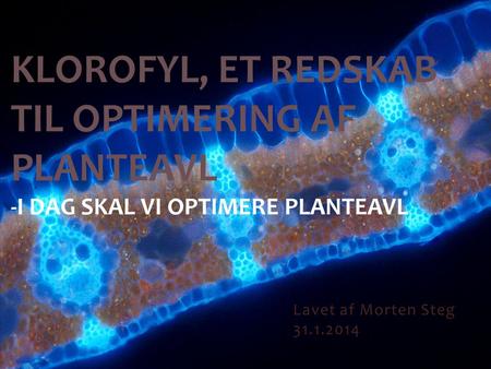 Klorofyl, et redskab til optimering af planteavl -I dag skal vi optimere planteavl Lavet af Morten Steg 31.1.2014.