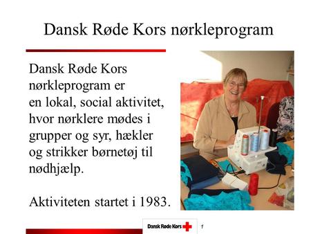 Dansk Røde Kors nørkleprogram