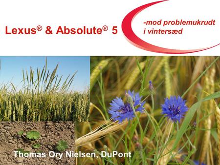 Lexus ® & Absolute ® 5 Strategi 2009 Thomas Ory Nielsen, DuPont -mod problemukrudt i vintersæd.