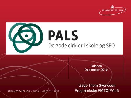Gøye Thorn Svendsen Programleder PMTO/PALS