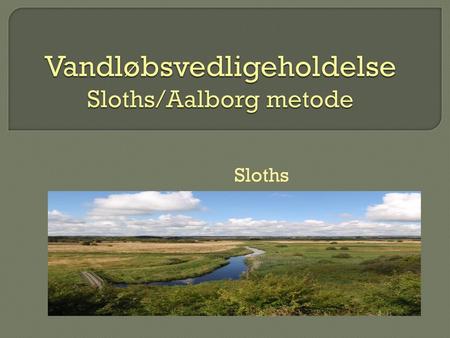 Vandløbsvedligeholdelse Sloths/Aalborg metode