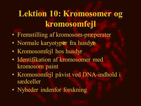 Lektion 10: Kromosomer og kromosomfejl