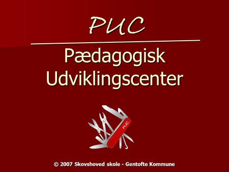 PUC Pædagogisk Udviklingscenter