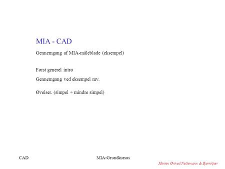 MIA - CAD Gennemgang af MIA-måleblade (eksempel) Først generel intro