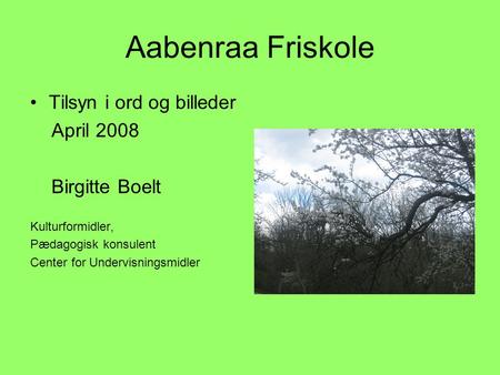 Aabenraa Friskole Tilsyn i ord og billeder April 2008 Birgitte Boelt