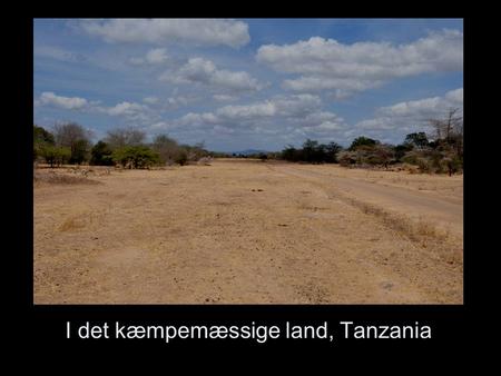 I det kæmpemæssige land, Tanzania. - hvor fuglene kvidrer.