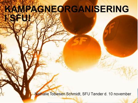 KAMPAGNEORGANISERING I SFU! Nathalie Tobiesen Schmidt, SFU Tønder d. 10 november.