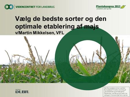 Vælg de bedste sorter og den optimale etablering af majs v/Martin Mikkelsen, VFL Den Europæiske Union ved Den Europæiske Fond for Udvikling af Landdistrikter.