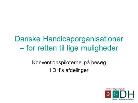 Danske Handicaporganisationer – for retten til lige muligheder Konventionspiloterne på besøg i DH’s afdelinger.