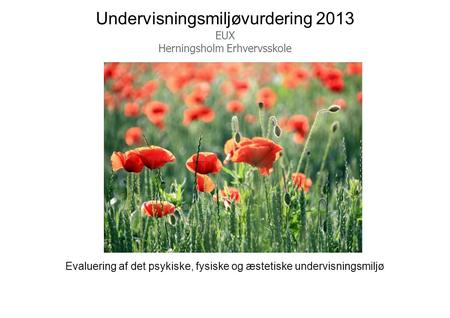Undervisningsmiljøvurdering 2013 EUX Herningsholm Erhvervsskole Evaluering af det psykiske, fysiske og æstetiske undervisningsmiljø.