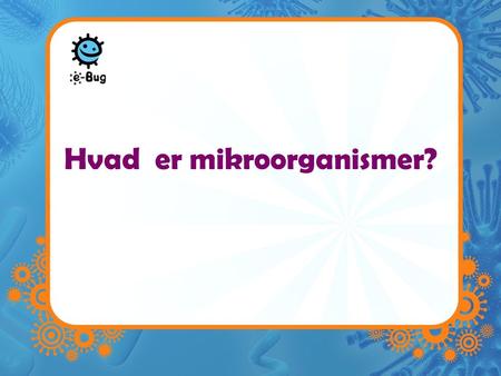Hvad er mikroorganismer?