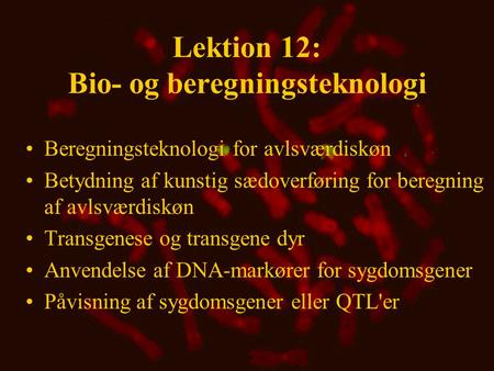 Lektion 12: Bio- og beregningsteknologi Beregningsteknologi for avlsværdiskøn Betydning af kunstig sædoverføring for beregning af avlsværdiskøn Transgenese.
