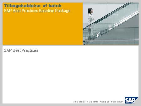 Tilbagekaldelse af batch SAP Best Practices Baseline Package SAP Best Practices.