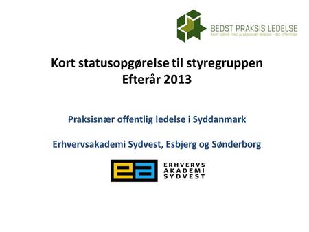 Kort statusopgørelse til styregruppen Efterår 2013 Praksisnær offentlig ledelse i Syddanmark Erhvervsakademi Sydvest, Esbjerg og Sønderborg.