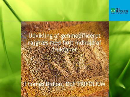 Udvikling af genmodificeret rajgræs med højt indhold af fruktaner Thomas Didion, DLF TRIFOLIUM.