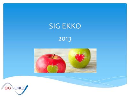 SIG EKKO 2013.  2 forlængede weekender i private sommer huse  2 kick off møder i forbindelse med andre aktiviteter Mødeaktivitet.