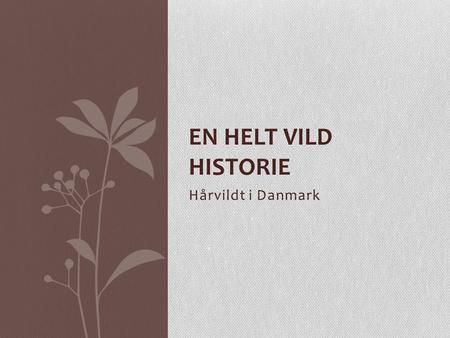 En helt vild historie Hårvildt i Danmark.