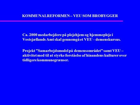 KOMMUNALREFORMEN – VEU SOM BROBYGGER Ca. 2000 medarbejdere på plejehjem og hjemmepleje i Vestsjællands Amt skal gennemgå et VEU - demenskursus. Projekt.