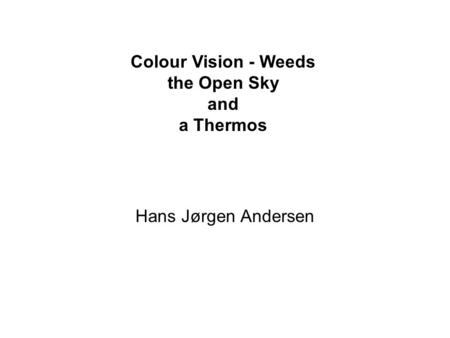 Hans Jørgen Andersen Colour Vision - Weeds the Open Sky and a Thermos.