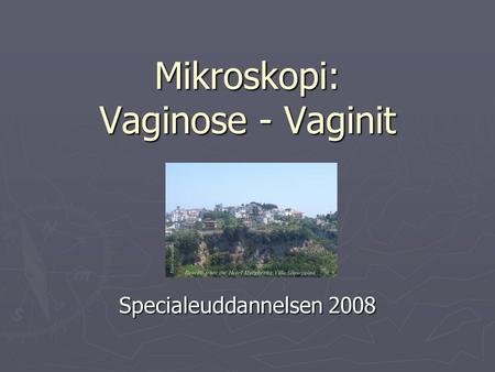 Mikroskopi: Vaginose - Vaginit