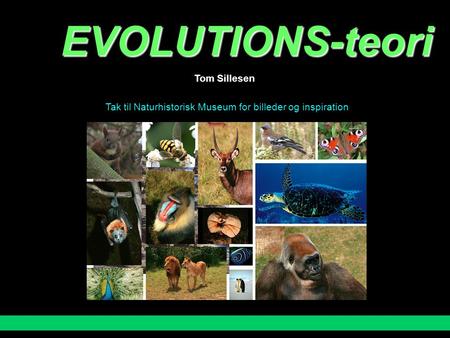 EVOLUTIONS-teori Tom Sillesen