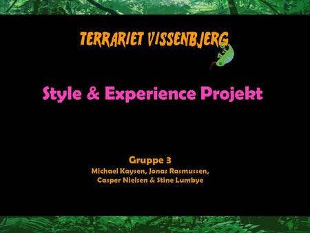 Style & Experience Projekt Gruppe 3 Michael Kaysen, Jonas Rasmussen, Casper Nielsen & Stine Lumbye.